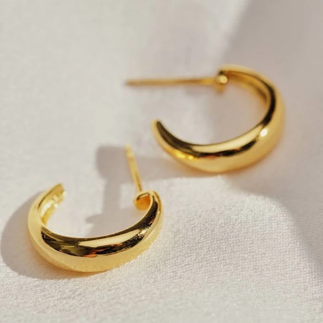 accessory Classic Bold Hoop Earrings Echeveria $45