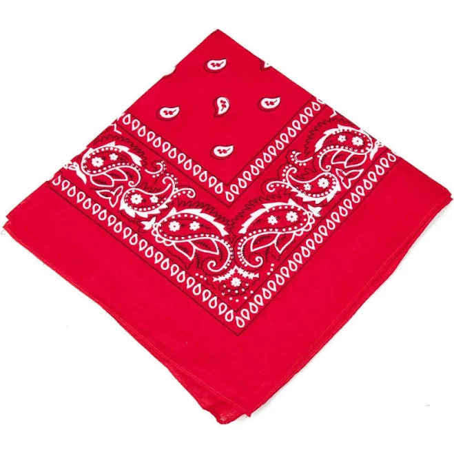 accessory Red Bandana 1 Count Party Expert $5.99