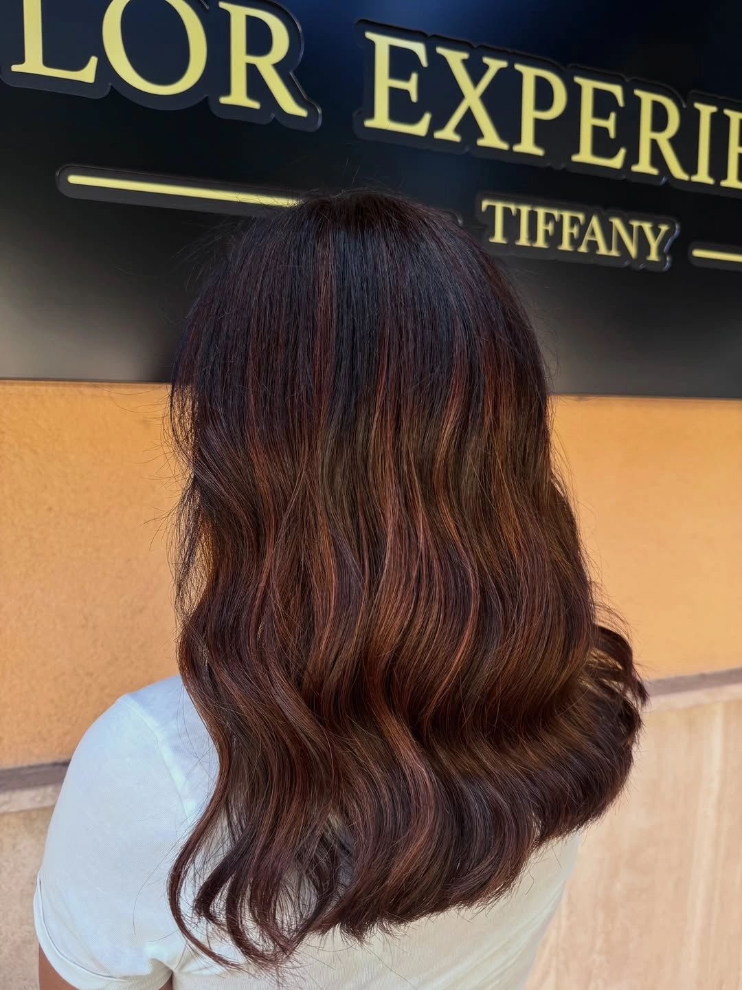 Fall brunette hair colour 2026 Warm Cinnamon Brunette with Soft Balayage Blend