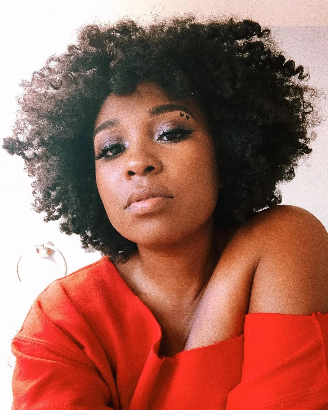 fall hair colors for black women 2026 Full Voluminous Afro With Timeless Natural Beauty