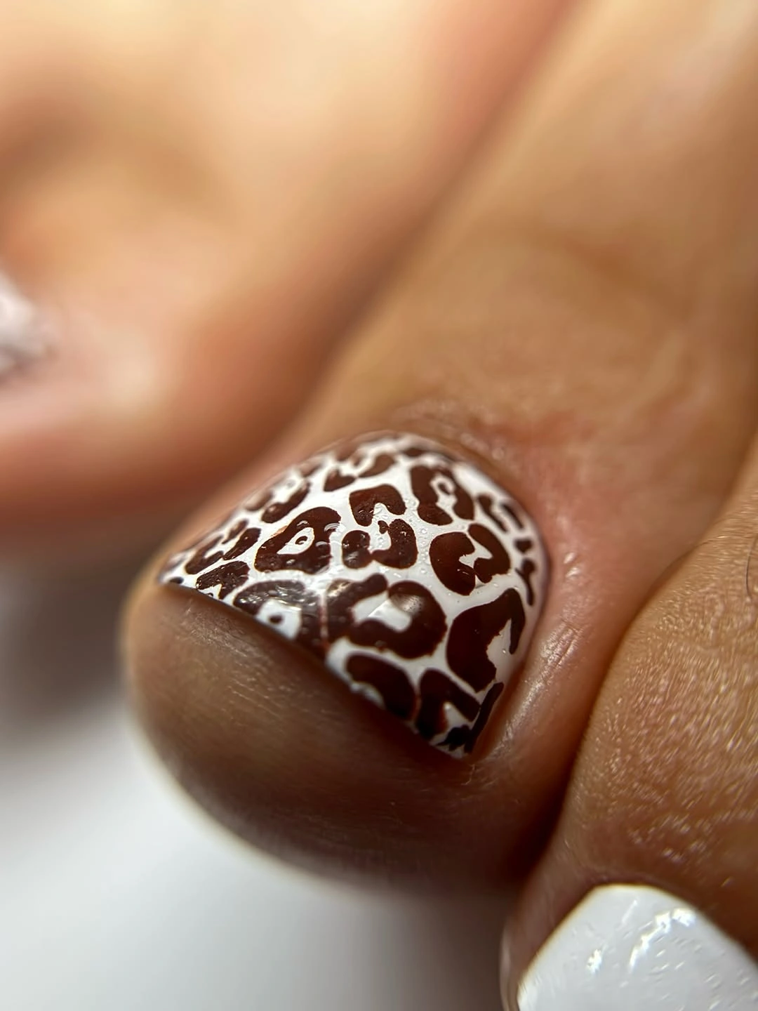 brown leopard print accent toenail on white base