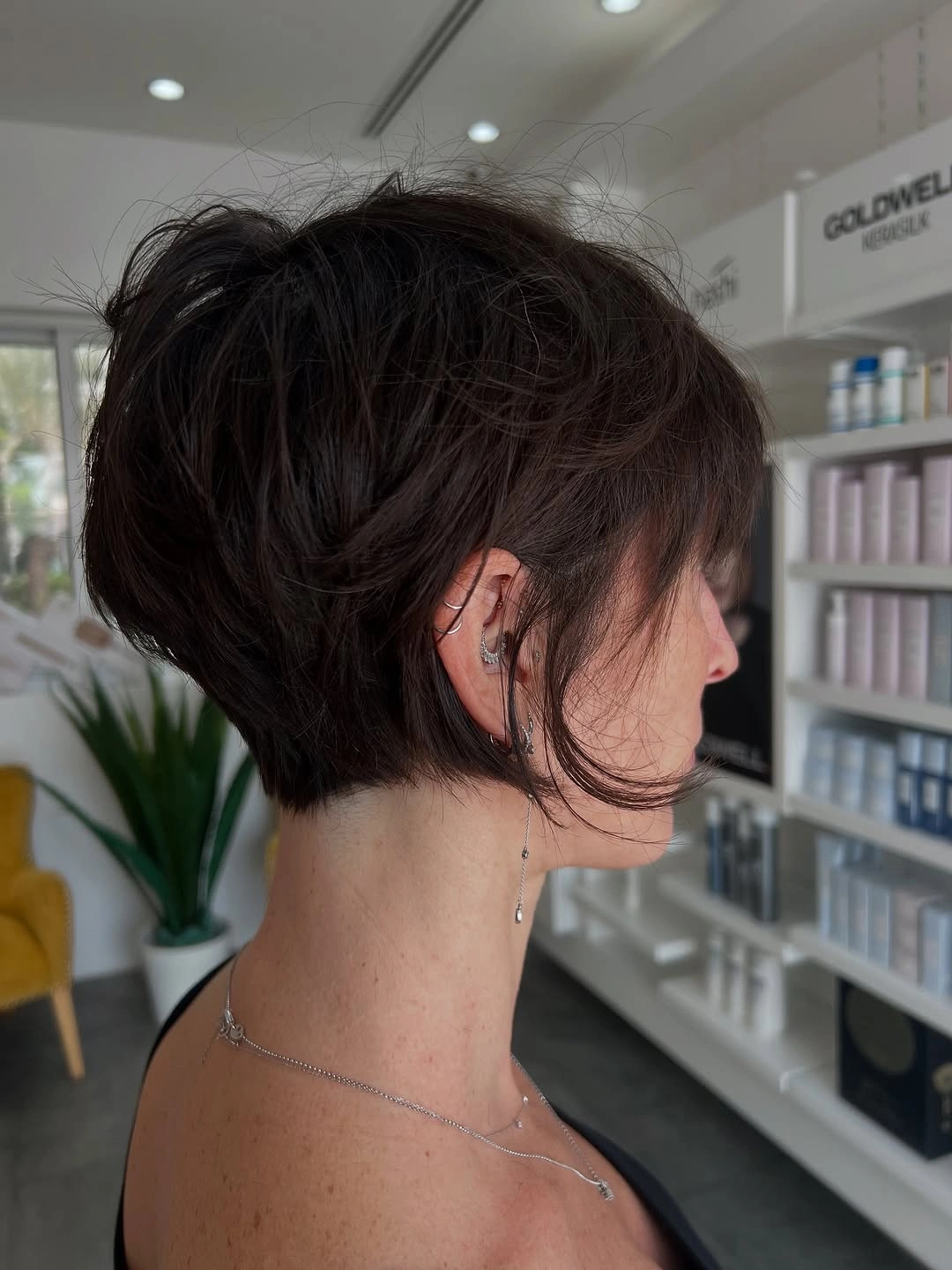fall pixie haircut ideas 2026 Voluminous Brunette Pixie Bob Hybrid