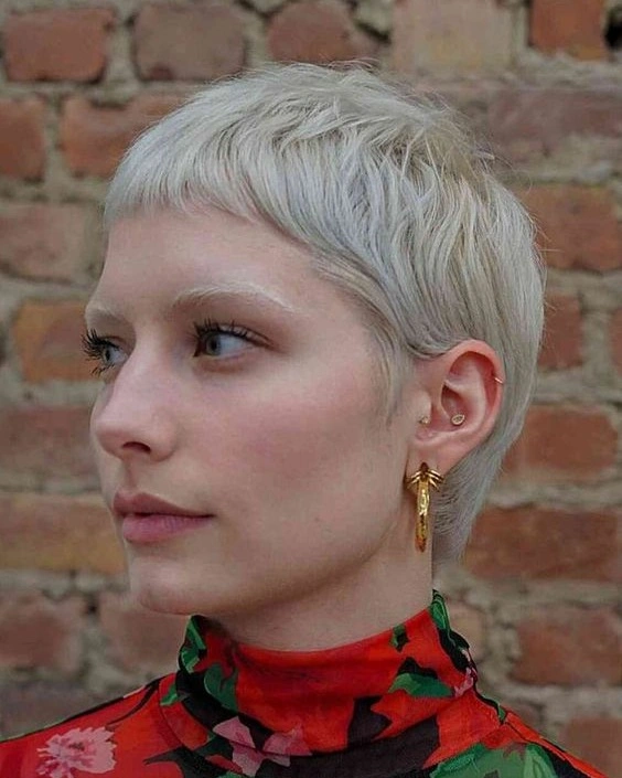 fall pixie haircut ideas 2026 Ultra-Short Platinum Pixie That Feels Bold Yet Delicate