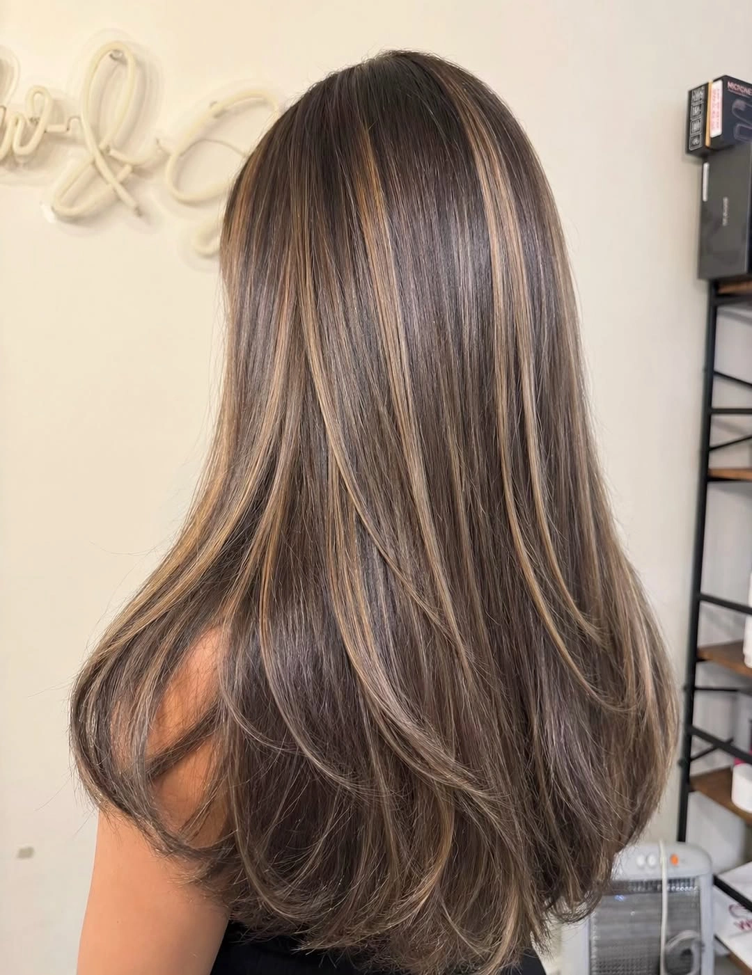 Hair Lowlights: Color Ideas and Inspiration Soft Mocha Lowlights with Delicate Beige Highlights