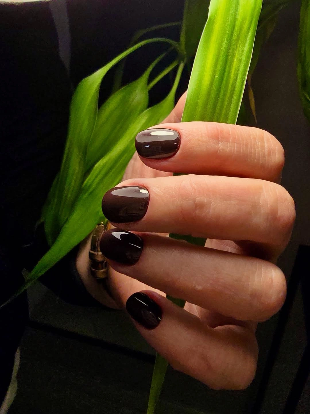 Short rounded-square nails in glossy dark chocolate brown