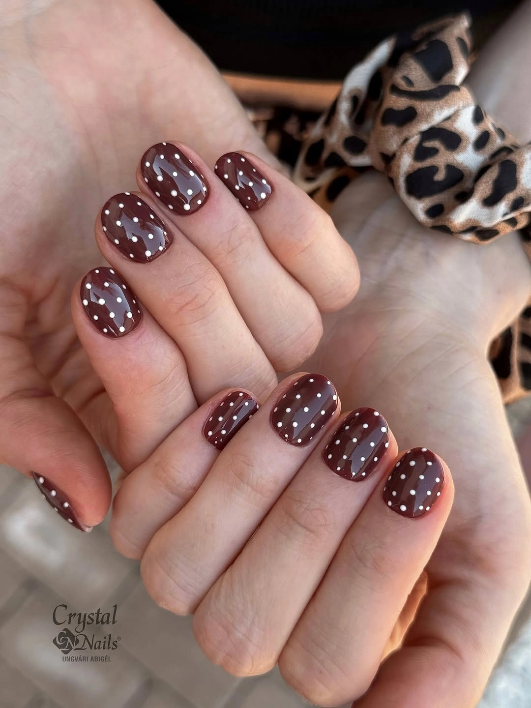 Short cocoa brown rounded square nails with tiny evenly scattered white dots