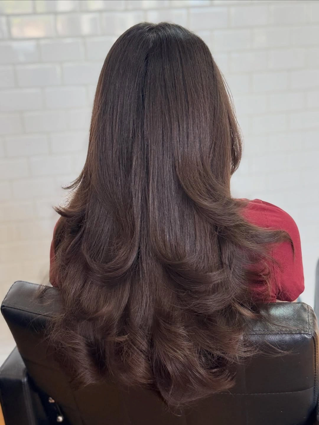 Back view of long dark brown layered hair
