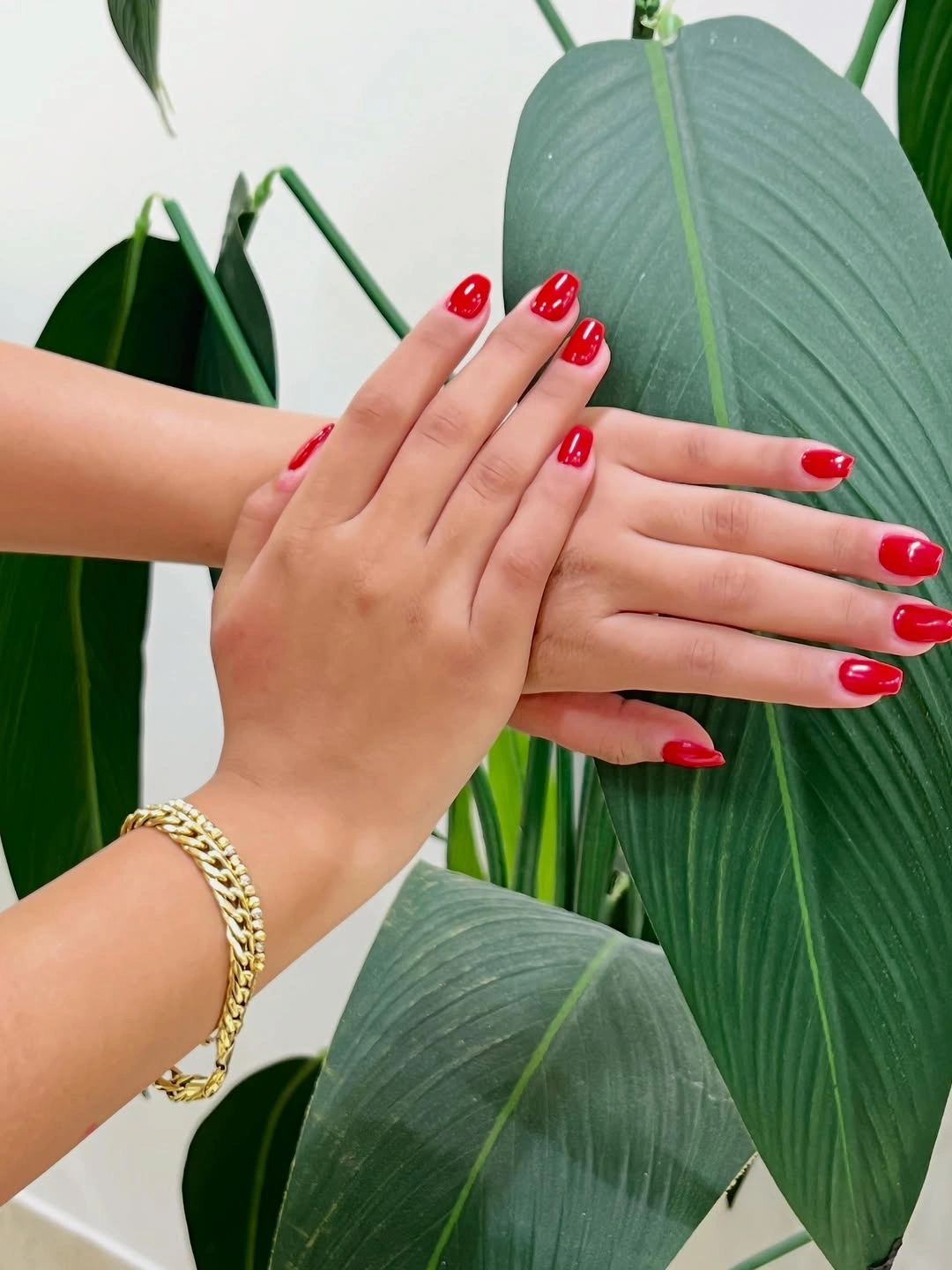 Glossy red almond nails displayed beside large green leaves